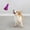 Dog Toys Purple, variant on YaoZQ Blue Dog Squeaky Toy, Interactive Plush for Puppies, Funny Fetch Play & Boredom Relief, 9.45x5.51in