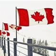 thumbnail image 3 of Canada Flag Canadian Flags Printed Maple Leaf Polyester and Brass Grommets CA Flags. (1Pc), 3 of 6