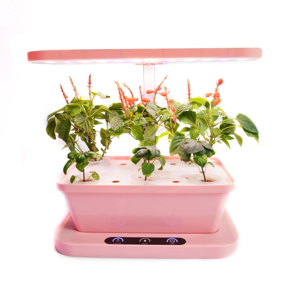 Ainfox Indoor Herb Garden Kits Germination Kits Growing Garden Promote Indoor Desktop Plant