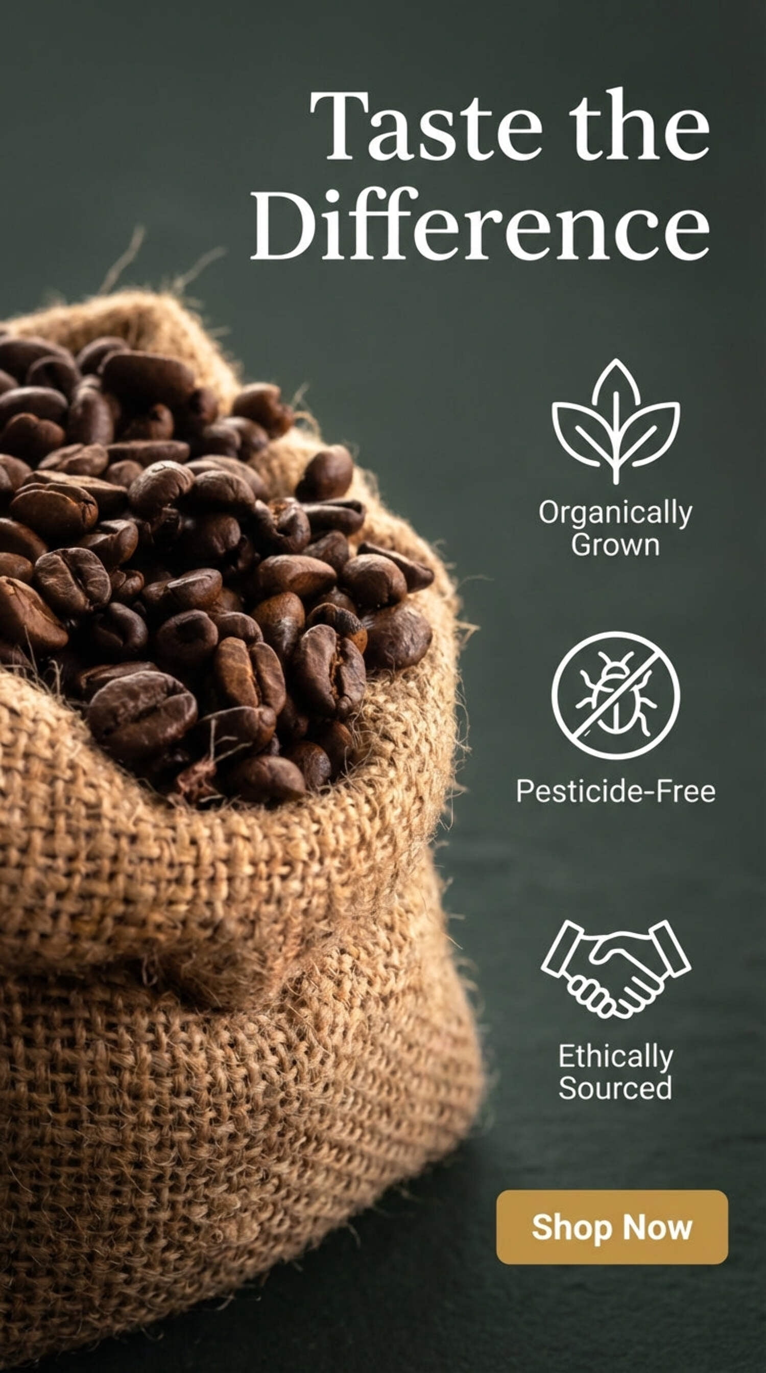 Nature Source Coffee Half Caff Blend Swiss Water Ground Coffee Organic 100% Arabica Naturally Decaffeinated Medium Roast 1-Pack 12oz