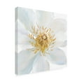 thumbnail image 4 of Trademark Fine Art 'Contemporary Clematis Gray' Canvas Art by Danhui Nai, 4 of 4