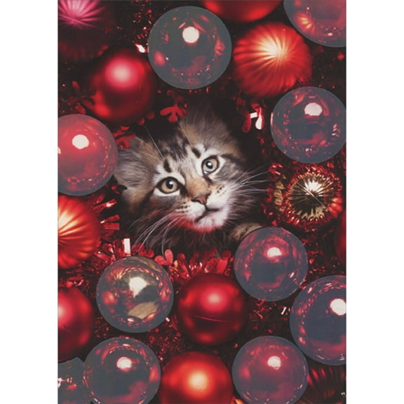 Northern Exposure Gray Kitten at the Center of Shimmering Red Ornaments Box of 12 Christmas Cards