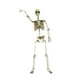 thumbnail image 3 of Escultura de terror articulada de esqueleto de Halloween con articulaciones móviles para fiestas en casa y fiestas temáticas de enseñanza de anatomía. 90 centímetros, 3 of 9