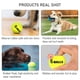 thumbnail image 5 of Methold Pelota de rebote para mascotas, juguete para el hogar, tamaño pequeño, accesorio de juego, cachorro interesante, juguete para rebotar, pelotas Type2 NO2 Methold PT002766-02, 5 of 6