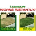 16 OZ. LawnLift Grass Paint concentrate. Covers up to 500 sq. feet of