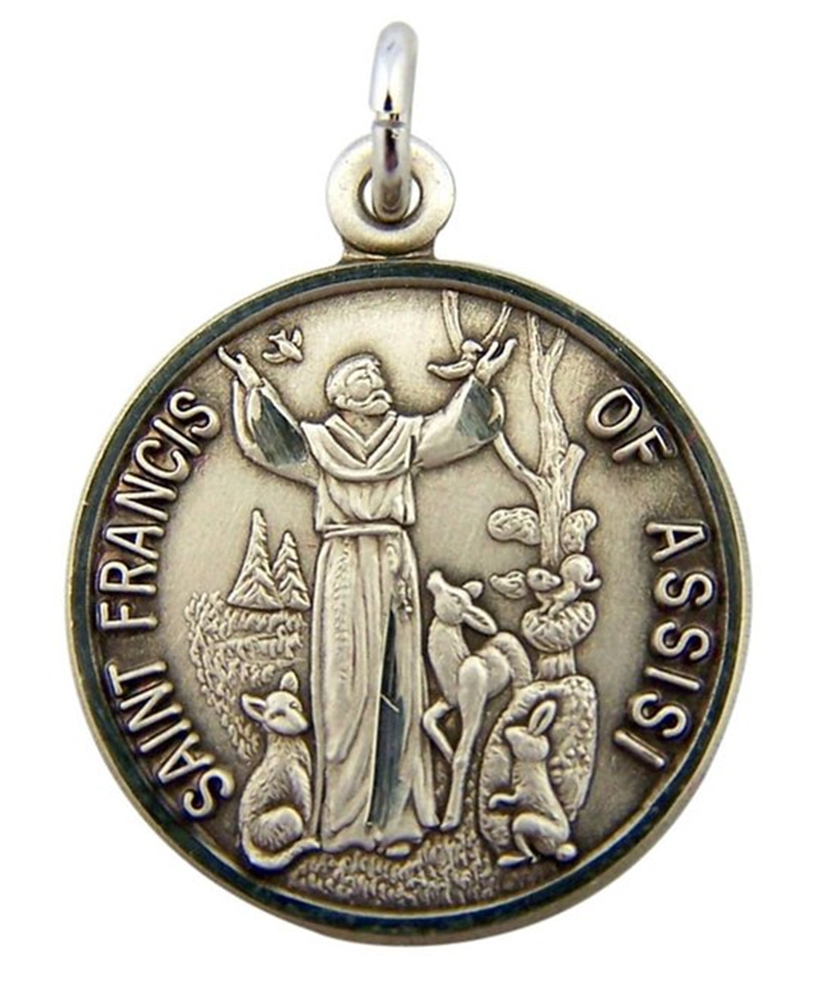 Ladies St Francis of Assisi with Wolf Medal Pendant Necklace 20