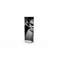 thumbnail image 1 of Testrite Visual Products CM36-S Curvette Mounts 36 in. Curvette Mounts- Black, 1 of 1