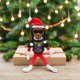thumbnail image 4 of Elfo navideño Snoop on the Stoop, decoración navideña de Snoop Dogg. Incluye juguete de elfo, camiseta, gafas de sol y cadena dorada. Regalo para niños adultos., 4 of 5