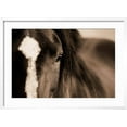 thumbnail image 2 of Art.com Dark Eyes Photographic Print by Lisa Dearing, White Frame Wall Art, 29" x 21", 2 of 5