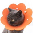 thumbnail image 5 of Collar de recuperación ajustable con forma de flor para gatos, juego de 2 unidades, 5 of 5