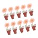 thumbnail image 5 of Ramo de Boutonniere de boda perfecl 10 Piezas Ramillete de Novio Decoración, 5 of 7