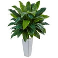 thumbnail image 1 of Cordyline in White Tower Planter, 1 of 1
