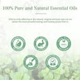 thumbnail image 4 of phatoil essential oils for candle making Peppermint oil Sweet Orange oil for Relaxation, 100mL, 4 of 9