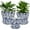 BLUFLW, variant on Set of 4 Plastic Printed Planters with Drainage Holes and Saucers,Diam 4.7Inch Home Decor Flower Pots for Indoor Planter - Plastic Planters Pot for Indoor Plants, Cactus, Succulents