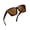Glossy Red Lepard Frame/Brown Lens, variant on Oversized Square Sunglasses for Women Fashion Cat Eye Sun Glasses UV Protection Ladies Shades Sunnies