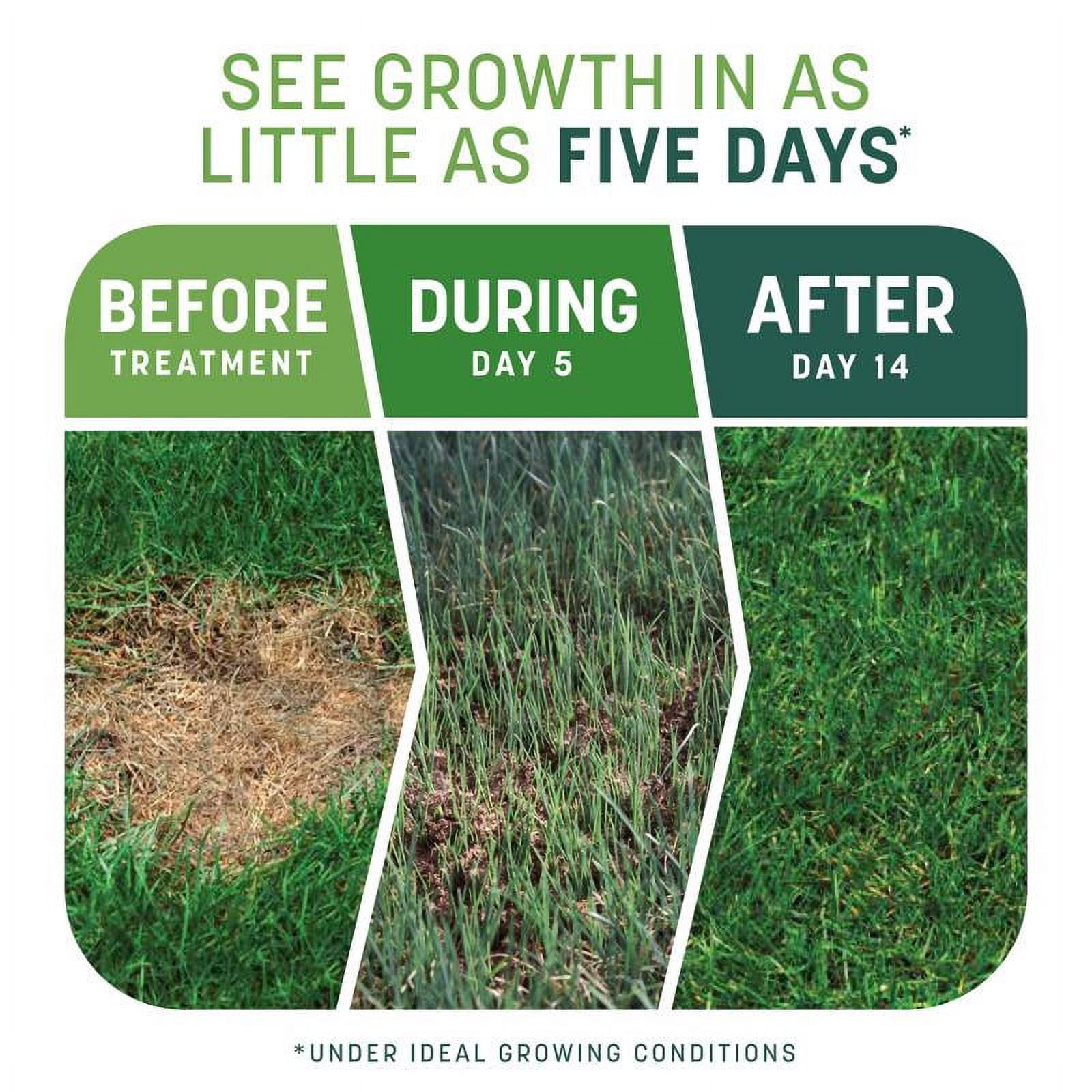 Pennington Smart Patch Tall Fescue Mix Grass Seed, 10lb, 1 Bag