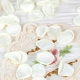 thumbnail image 6 of LQQBOX 300 Pcs Silk Rose Petals Flower Petals for Weddings White Petals Fake Rose Petals Artificial Flower Petals for Wedding Proposal Flower Girl Basket Aisle Runner Bridal Shower, 6 of 7