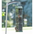 thumbnail image 4 of Original Evenseed Squirrel Dilemma Bird Feeder, 4 of 8