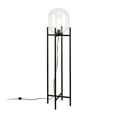 thumbnail image 3 of Evelyn&Zoe Modern Clear Glass Globe Floor Lamp, 3 of 9