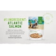 thumbnail image 4 of Caledon Farms Salmon Bites Dog Food Topper, 3.2 oz Bag, 4 of 6