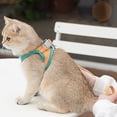 thumbnail image 4 of ELAYARD Cat Walking Leash Pet Traction Rope Synthetic Material Orange for Outdoor Walking 1 Set, 4 of 8