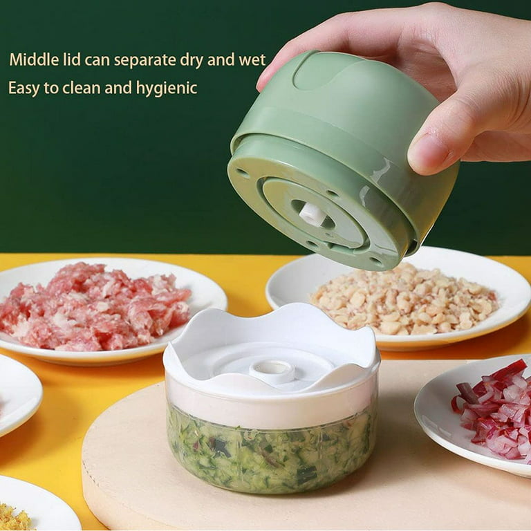 Deago Electric Mini Garlic Chopper Portable Cordless Food Processor Vegetable  Chopper Onion Mincer Meat Grinder with USB Charging 100ml/250ml 