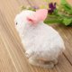 thumbnail image 3 of Gwong Juguete Baby Kids Toddler Divertido Dibujos animados Conejo Animal Relojería Lloviente Play Toy Regalo Gwong 95197, 3 of 6