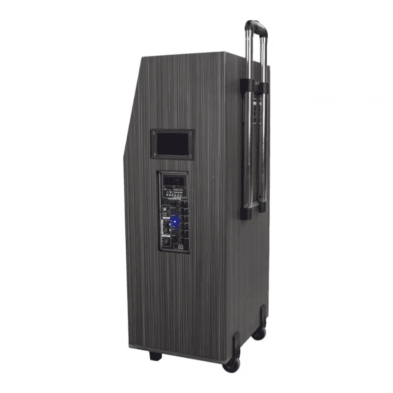 Singtronic BT-888Pro Professional 1000W Powered 12" Bluetooth Speaker, Karaoke Machine with 2 Microphones