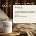 thumbnail image 3 of Figuier Natural Coconut Apricot Wax Candle, 3 of 14