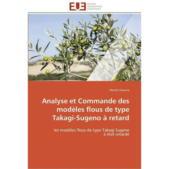 Omn.Univ.Europ.: Analyse et commande des modèles flous de type takagi-sugeno à retard (Paperback)