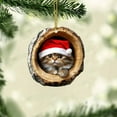 thumbnail image 7 of Beautynvta Forest Animal Christmas Ornaments, 3.15'' Cozy Xmas Cat in Tree Hole Ornaments for Christmas Tree, Personalized Acrylic Hanging Ornament, Gifts for Animals Lovers, 7 of 7