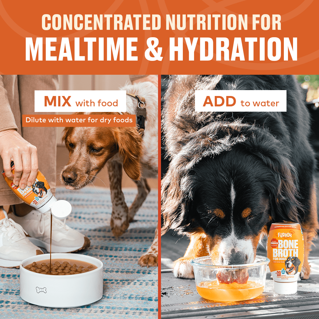 Furvor Chicken Broth for Dogs, Bone Broth Collagen Protein, 12 oz
