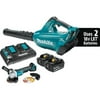 18V X2 (36V) LXT BL Blower w/BL Grinder