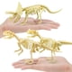 thumbnail image 3 of 7 Uds. De esqueletos fósiles de aur, juguetes de huesos de aur para niños, juguetes arqueológicos para niños, juguetes de ciencia fósil aur, 3 of 8