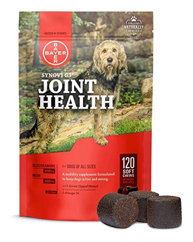 dog joint supplements walmart