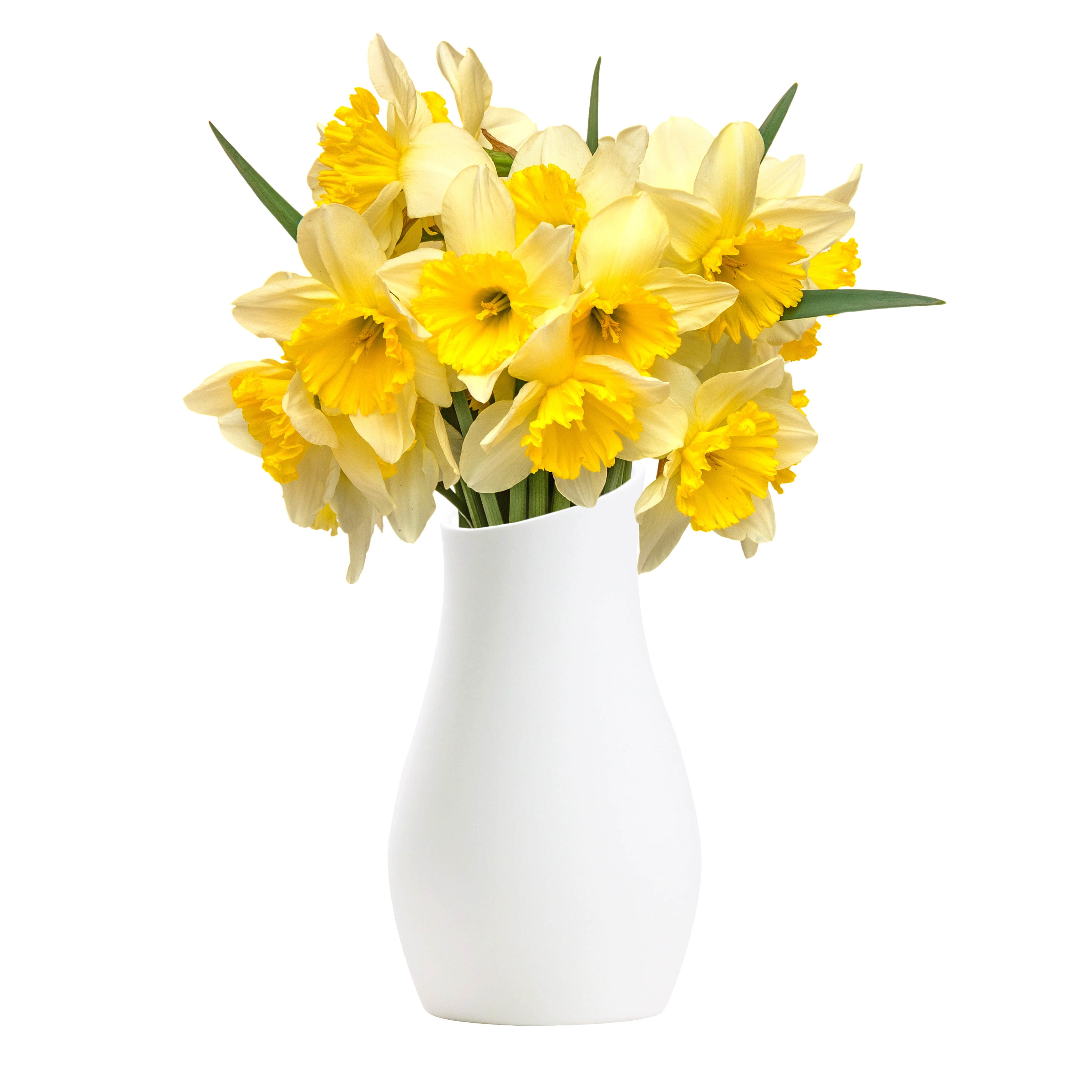 Sorrento Matt White Vase Flower Vase for Indoors 8 Inch Home