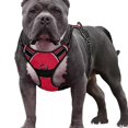 thumbnail image 2 of Arnés de chaleco de seguridad para perros, ligero, reflectante, , cómodo para , caminar, entrenar al aire libre, varios tamaños, perros M rojo Sunnimix Arnés de chaleco para perros, 2 of 7