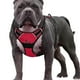thumbnail image 2 of Chaleco arnés transpirable para perros ajustable ligero reflectante cómodo para M rojo, 2 of 7