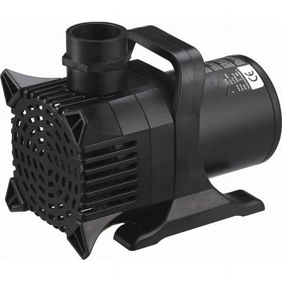 Anjon Monsoon 800 Pump - 800 GPH