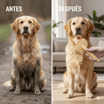 thumbnail image 4 of Cepillo para pelo largo Bamboopet 100% bambú Natural Biodegradable, 4 of 4