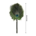 thumbnail image 3 of Expandable Feather Duster for Ceiling Fans, Chandeliers, Ceilings, Blinds, Furniture | 100% Natural Reusable Feather | Long Handle, Rust-Resistant, Anti-Slip Cover | Efficient Dust Removal, 3 of 9