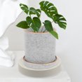 thumbnail image 1 of Homoyoyo Base Para Plantas Con Integradas Para Facilitar Movilidad Y, 1 of 8