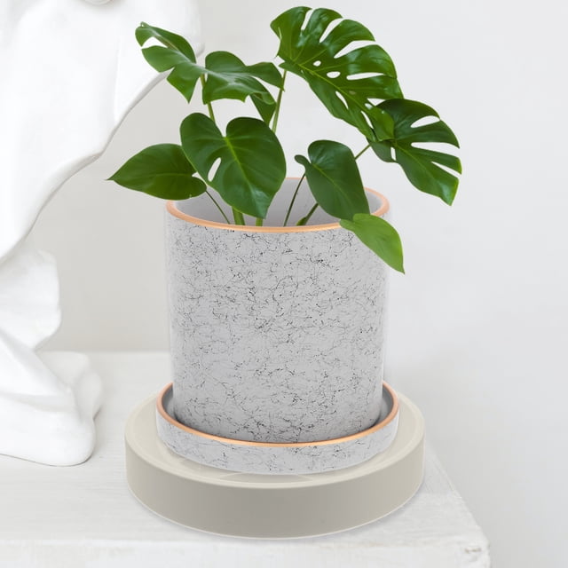 Homoyoyo Base Para Plantas Con Integradas Para Facilitar Movilidad Y