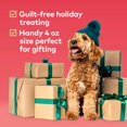 thumbnail image 5 of Honest To Goodness Plant Snacks Holiday Apple Spice Crunchy Dog Treats 4 oz, 5 of 6