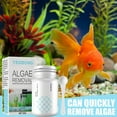 thumbnail image 3 of Fish Tank Moss Remover Aquarium Algae Removal Tablets Aquarium Cleaning Accessories For, 3 of 5