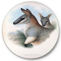 Designart 'Ancient Kangaroo' Farmhouse Circle Metal Wall Art 36x36 - Disc of 36