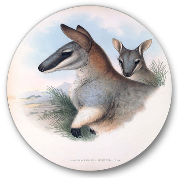 Designart 'Ancient Kangaroo' Farmhouse Circle Metal Wall Art 36x36 - Disc of 36