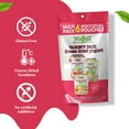 thumbnail image 4 of YoGut Freeze Dried Yogurt Snack, Variety Pack, 6 Pack, Healthy Snacks for Kids, Toddlers & Adults, Gluten Free, With 5 Billion Probiotics Cultures, Vitamins & Minerals, Individual Snack Packs, 4 of 6