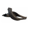 thumbnail image 5 of Mountain Goat Horn -100% Natural, Long-Lasting Dog Chews & Treats, New, 10 Count-10 oz, 5 of 10
