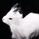 thumbnail image 5 of Mini simulación de cabra de peluche, oveja de peluche, figura de peluche, animal de peluche Blanco, 5 of 9